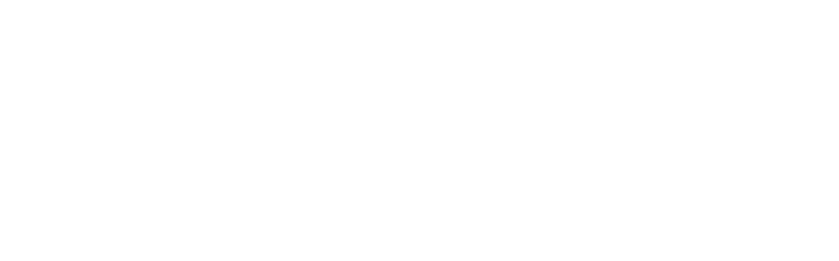 Logo blanc - concept securite